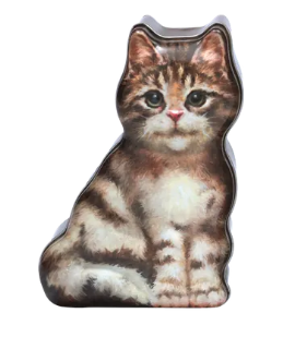 VANILLA FUDGE TABBY CAT TIN 175G